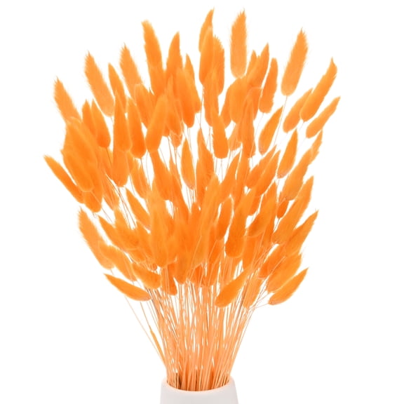 Uxcell 120-Pack Bunny Tails Grass 17 Inch Fluffy Rabbit Tail Grass Dried Flowers for Home/Wedding [Orange]