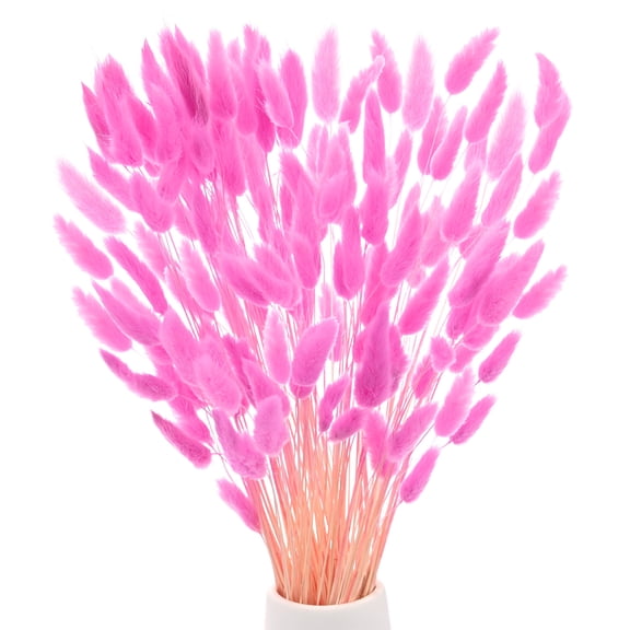 Uxcell 120-Pack Bunny Tails Grass 17 Inch Fluffy Rabbit Tail Grass Dried Flowers for Home/Wedding [Rose Red]
