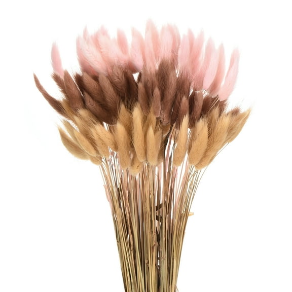 Uxcell 120pcs Natural Rabbit Bunny Tails Dried Flowers 17" Mini Pampas Grass Lagurus Ovatus Bunch for Floral Wedding Decor, Beige, Dark Pink, Dark Brown Red