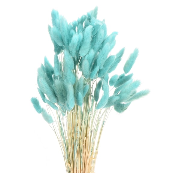 Uxcell 120pcs Natural Rabbit Bunny Tails Dried Flowers 17" Mini Pampas Grass Lagurus Ovatus Bunch for Floral Wedding Decor, Blue Green