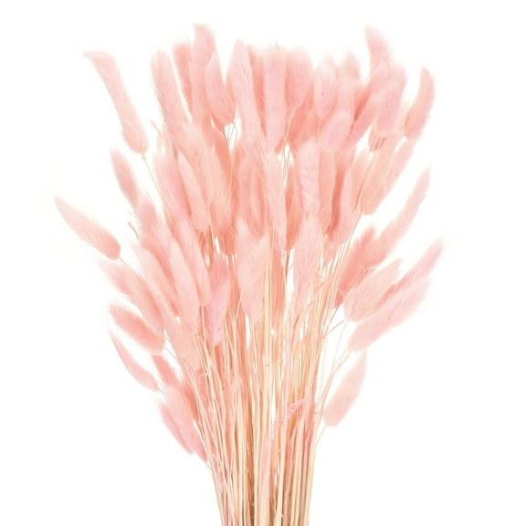 Uxcell 120pcs Natural Rabbit Bunny Tails Dried Flowers 17" Mini Pampas Grass Lagurus Ovatus Bunch for Floral Wedding Decor, Dark Pink