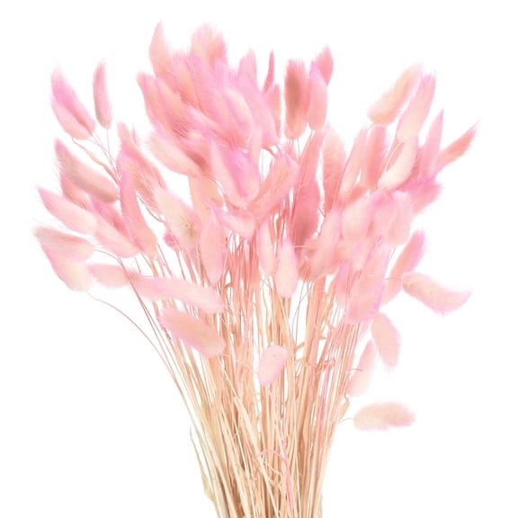Uxcell 120pcs Natural Rabbit Bunny Tails Dried Flowers 17" Mini Pampas Grass Lagurus Ovatus Bunch for Floral Wedding Decor, Gradient Light Pink