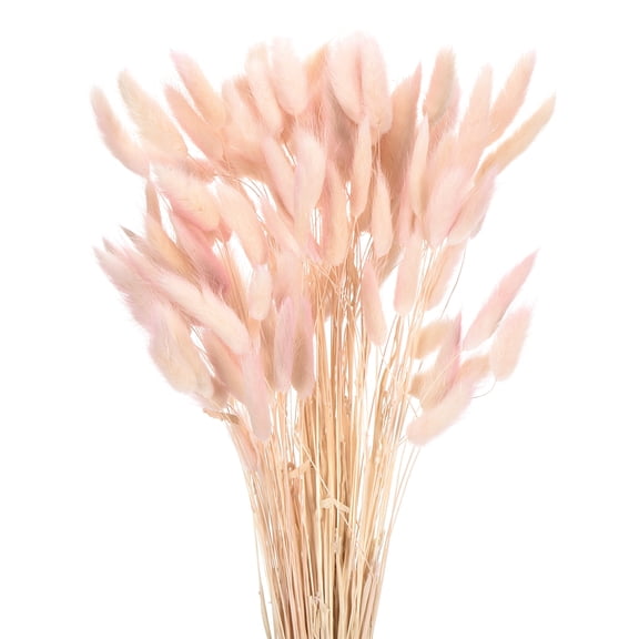 Uxcell 120pcs Natural Rabbit Bunny Tails Dried Flowers 17" Mini Pampas Grass Lagurus Ovatus Bunch for Floral Wedding Decor, Gradient Rose Purple