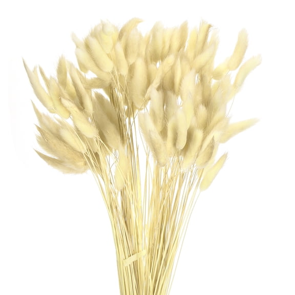 Uxcell 120pcs Natural Rabbit Bunny Tails Dried Flowers 17" Mini Pampas Grass Lagurus Ovatus Bunch for Floral Wedding Decor, Gradient Yellow