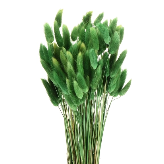 Uxcell 120pcs Natural Rabbit Bunny Tails Dried Flowers 17" Mini Pampas Grass Lagurus Ovatus Bunch for Floral Wedding Decor, Grass Green