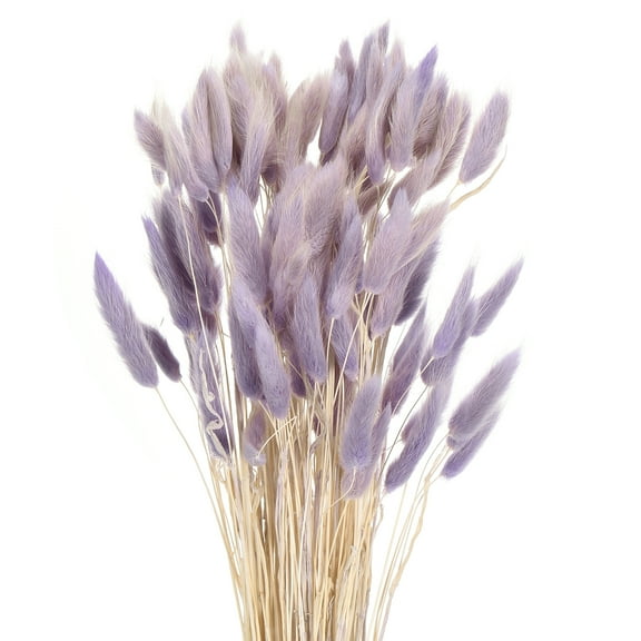 Uxcell 120pcs Natural Rabbit Bunny Tails Dried Flowers 17" Mini Pampas Grass Lagurus Ovatus Bunch for Floral Wedding Decor, Light Purple