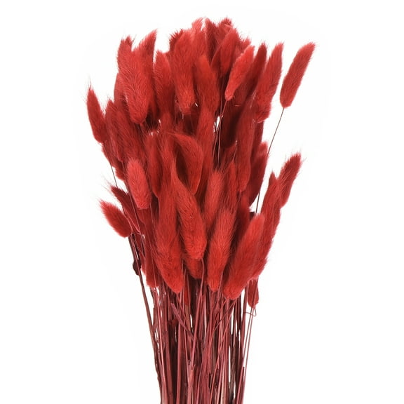Uxcell 120pcs Natural Rabbit Bunny Tails Dried Flowers 17" Mini Pampas Grass Lagurus Ovatus Bunch for Floral Wedding Decor, Red
