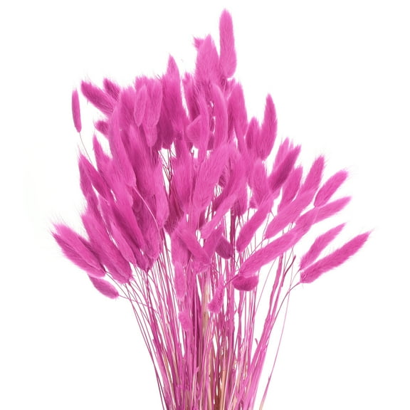 Uxcell 120pcs Natural Rabbit Bunny Tails Dried Flowers 17" Mini Pampas Grass Lagurus Ovatus Bunch for Floral Wedding Decor, Rose Red