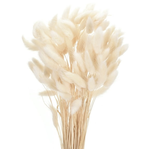 Uxcell 120pcs Natural Rabbit Bunny Tails Dried Flowers 17" Mini Pampas Grass Lagurus Ovatus Bunch for Floral Wedding Decor, White
