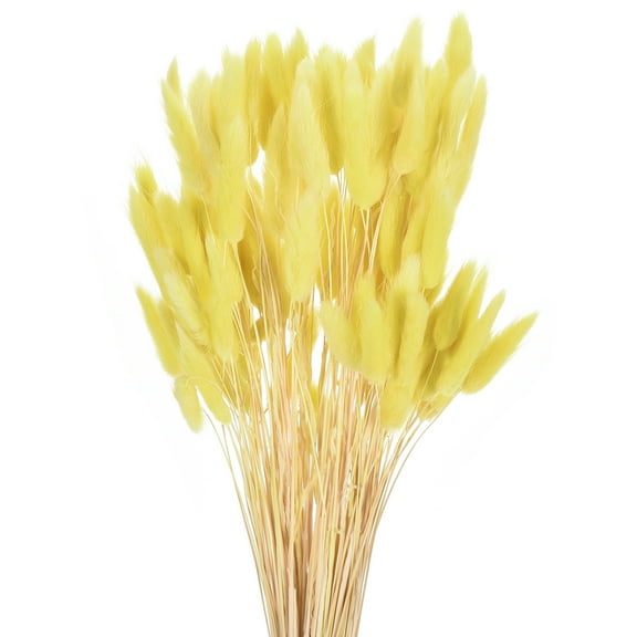 Uxcell 120pcs Natural Rabbit Bunny Tails Dried Flowers 17" Mini Pampas Grass Lagurus Ovatus Bunch for Floral Wedding Decor, Yellow