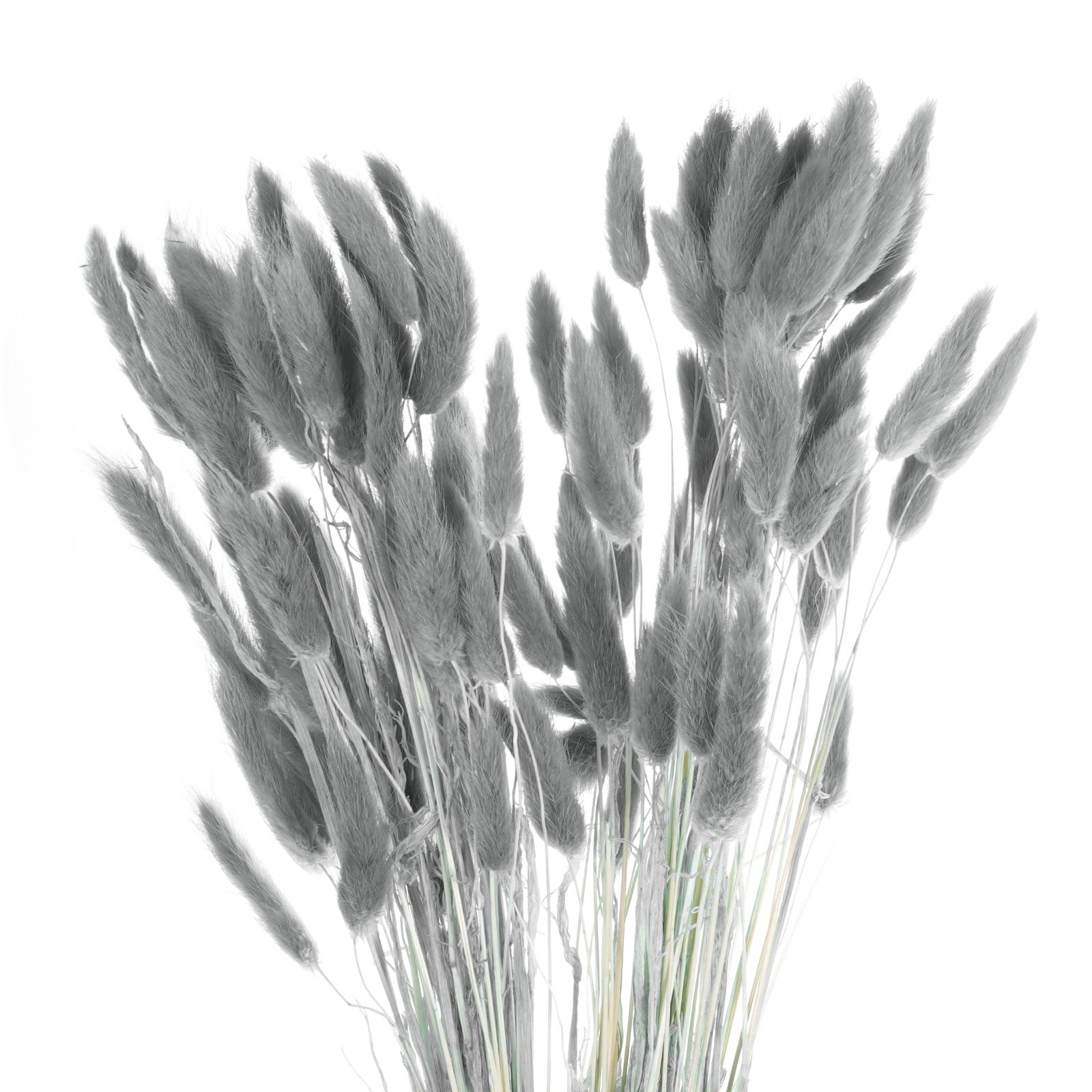Uxcell 120pcs Natural Rabbit Bunny Tails Dried Flowers 18" Mini Pampas Grass Lagurus Ovatus Bunch for Floral Wedding Decor, Gray