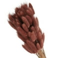thumbnail image 1 of Uxcell 15.7in Bunny Tails Dried Flowers, 120pcs Pampas Grass Decor Rabbit Tail Natural Pampas Grass Bulk Fluffy Faux Pampas Grass Small Dried, Brown, 1 of 6