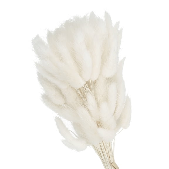 Uxcell 15.7in Bunny Tails Dried Flowers, 120pcs Pampas Grass Decor Rabbit Tail Natural Pampas Grass Bulk Fluffy Faux Pampas Grass Small Dried, White