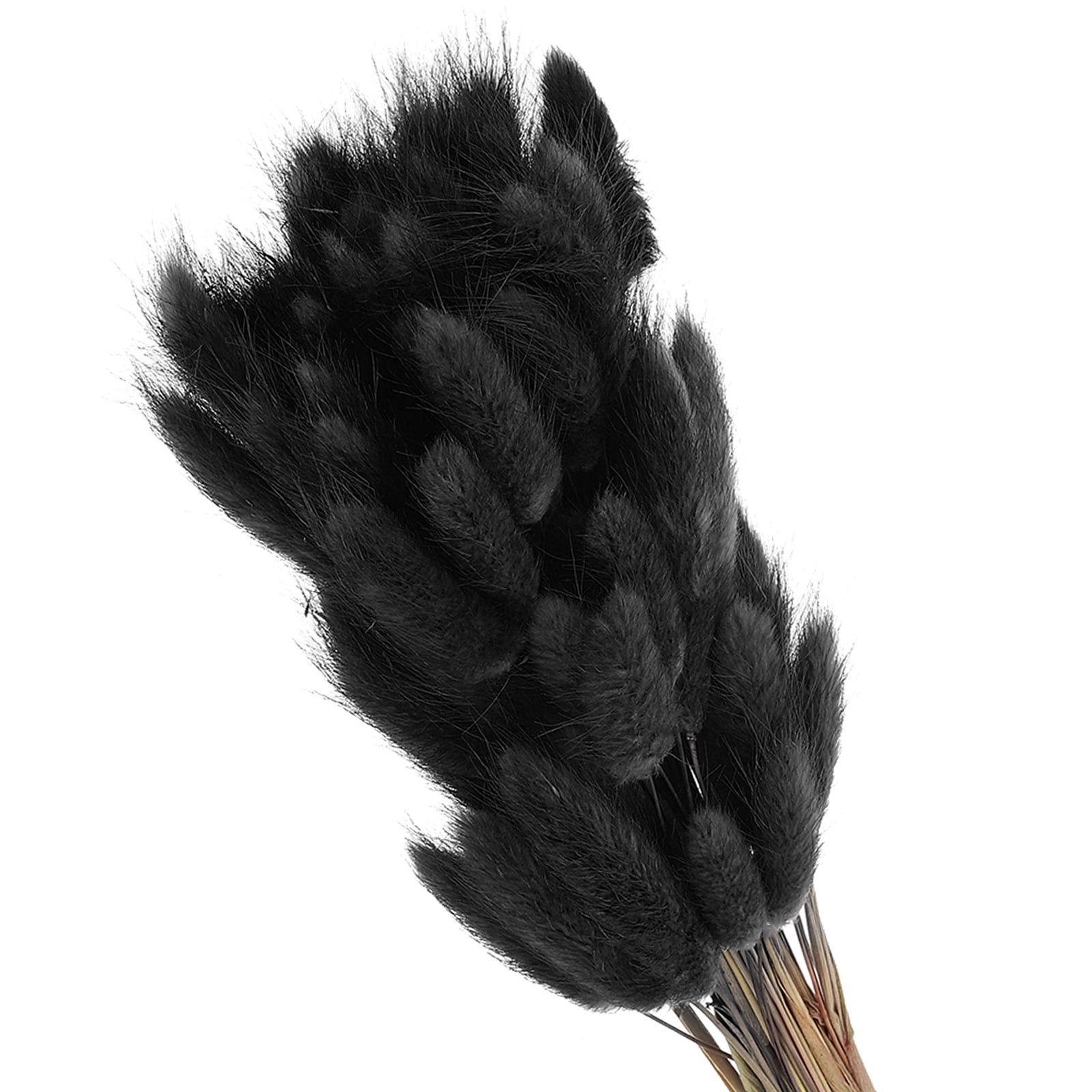 Uxcell 15.7in Bunny Tails Dried Flowers, 150pcs Pampas Grass Decor Rabbit Tail Natural Pampas Grass Bulk Fluffy Faux Pampas Grass Small Dried, Black