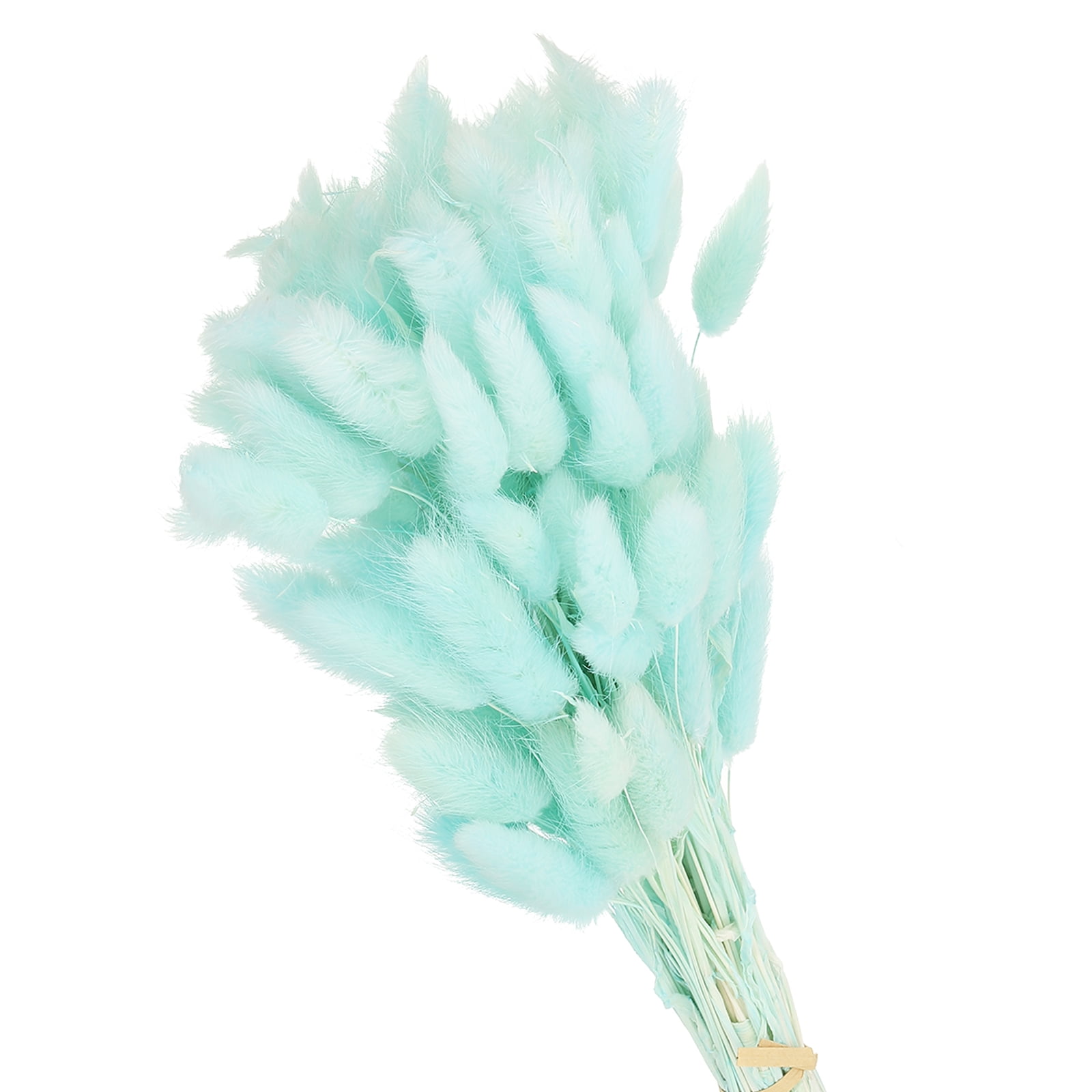 Uxcell 15.7in Bunny Tails Dried Flowers, 150pcs Pampas Grass Decor Rabbit Tail Natural Pampas Grass Bulk Fluffy Faux Pampas Grass Small Dried, Light Blue