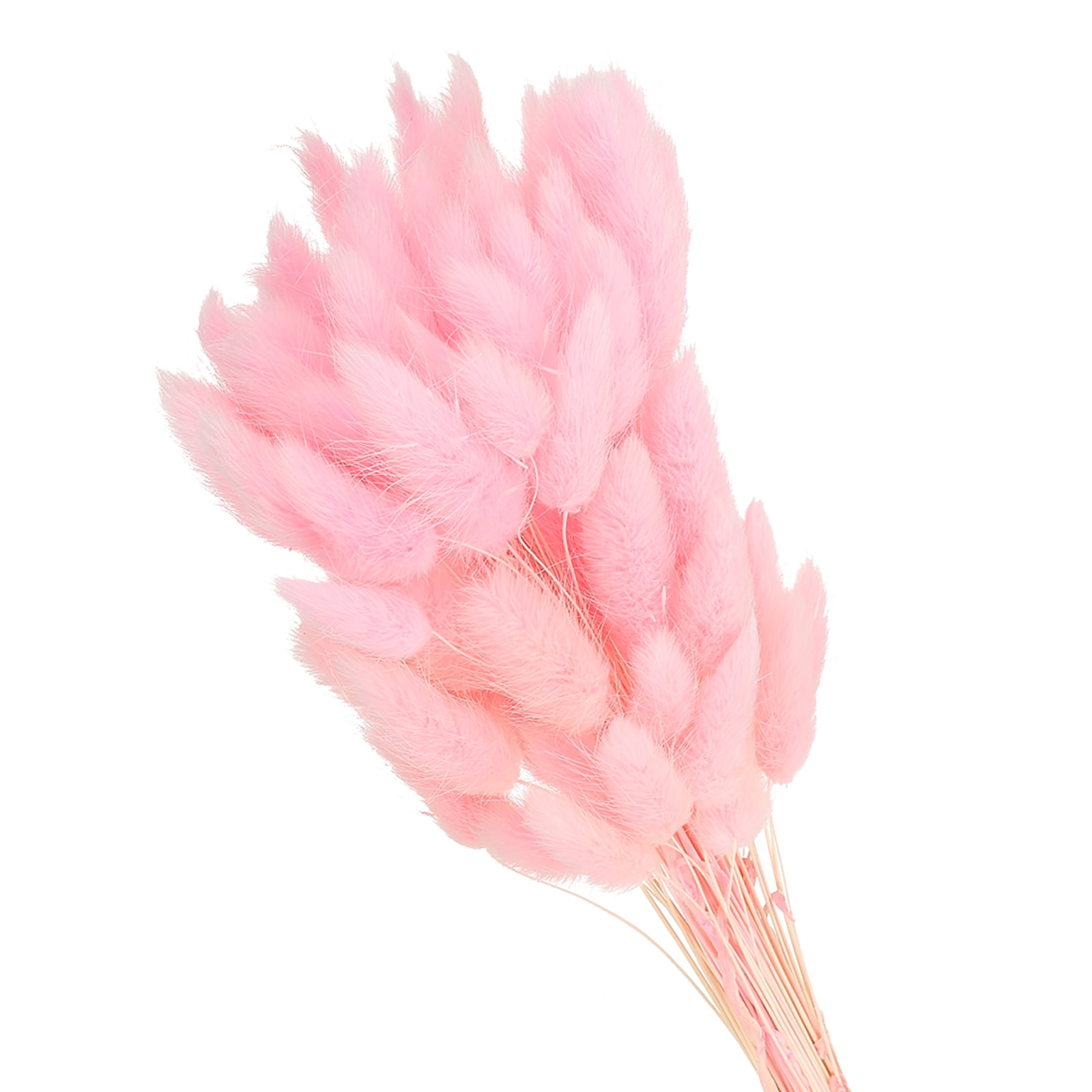 Uxcell 15.7in Bunny Tails Dried Flowers, 150pcs Pampas Grass Decor Rabbit Tail Natural Pampas Grass Bulk Fluffy Faux Pampas Grass Small Dried, Pink