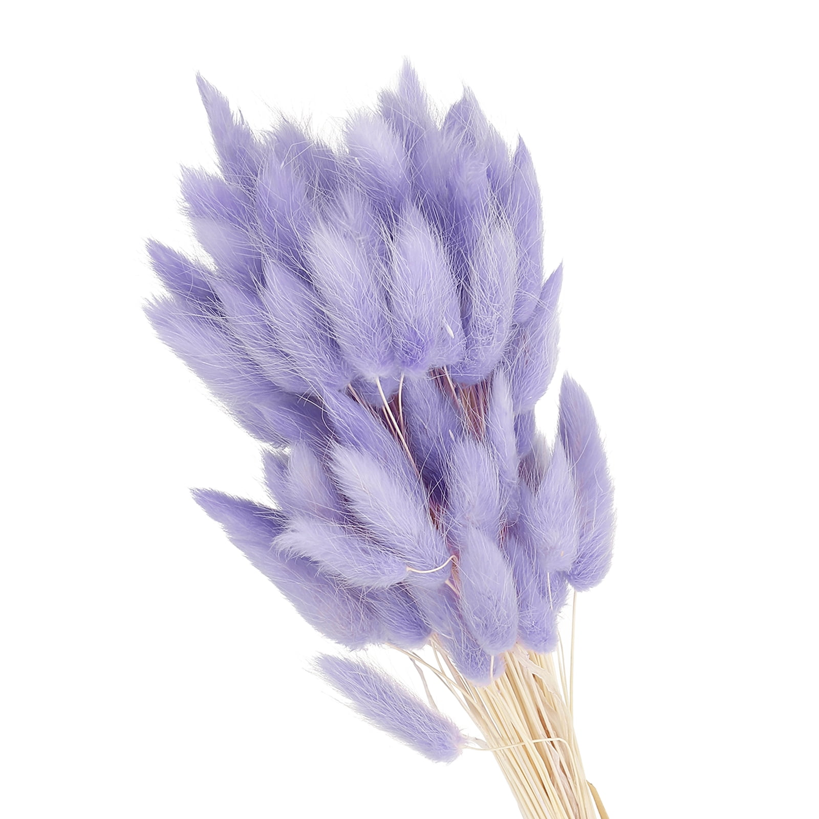 Uxcell 15.7in Bunny Tails Dried Flowers, 150pcs Pampas Grass Decor Rabbit Tail Natural Pampas Grass Bulk Fluffy Faux Pampas Grass Small Dried, Purple