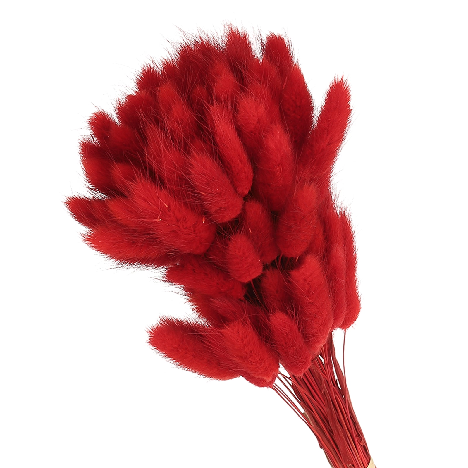 Uxcell 15.7in Bunny Tails Dried Flowers, 150pcs Pampas Grass Decor Rabbit Tail Natural Pampas Grass Bulk Fluffy Faux Pampas Grass Small Dried, Red