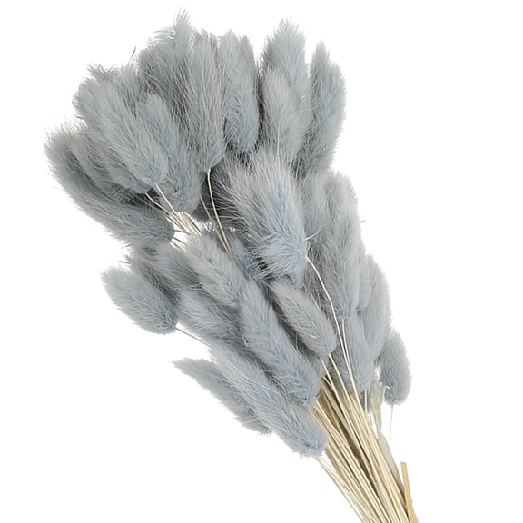 Uxcell 15.7in Bunny Tails Dried Flowers, 70pcs Pampas Grass Decor Rabbit Tail Natural Pampas Grass Bulk Fluffy Faux Pampas Grass Small Dried, Gray Blue