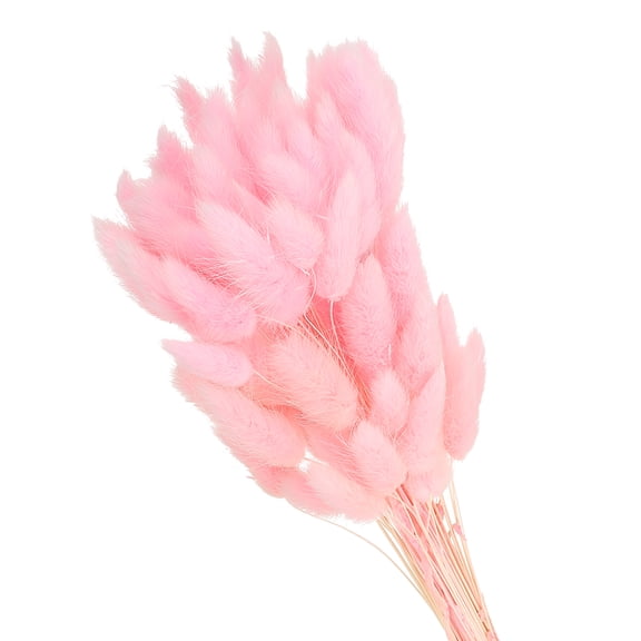 Uxcell 15.7in Bunny Tails Dried Flowers, 70pcs Pampas Grass Decor Rabbit Tail Natural Pampas Grass Bulk Fluffy Faux Pampas Grass Small Dried, Pink