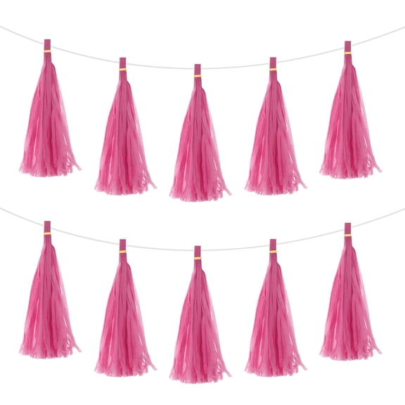 Uxcell 15Pcs Rose Red Tassel Garland Banner w Rope for Wedding Birthday Party Decoration
