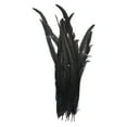 thumbnail image 1 of Uxcell 16-18 Inch Rooster Feathers, 10 Pack Bulk Natural Feathers for Crafts Style 1, Black, 1 of 6