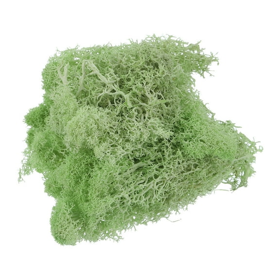 Uxcell 17.6 OZ Moss Fake Craft Moss Artificial Moss Natural Preserved Moss for Craft Arts Floral DIY (Light Green)
