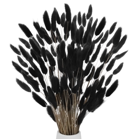 Uxcell 180-Pack Bunny Tails Grass 17 Inch Fluffy Rabbit Tail Grass Dried Flowers for Home/Wedding [Black]