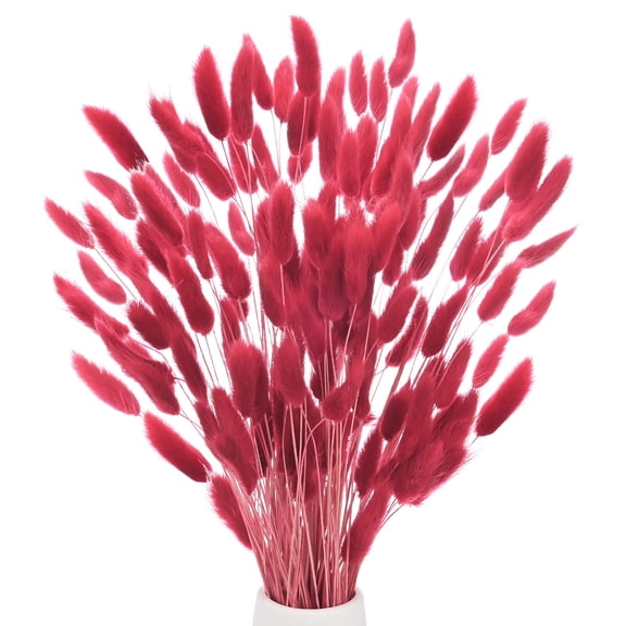 Uxcell 180-Pack Bunny Tails Grass 17 Inch Fluffy Rabbit Tail Grass Dried Flowers for Home/Wedding [Dark Red Brown]