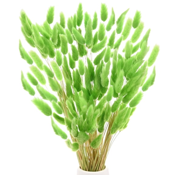 Uxcell 180-Pack Bunny Tails Grass 17 Inch Fluffy Rabbit Tail Grass Dried Flowers for Home/Wedding [Green]