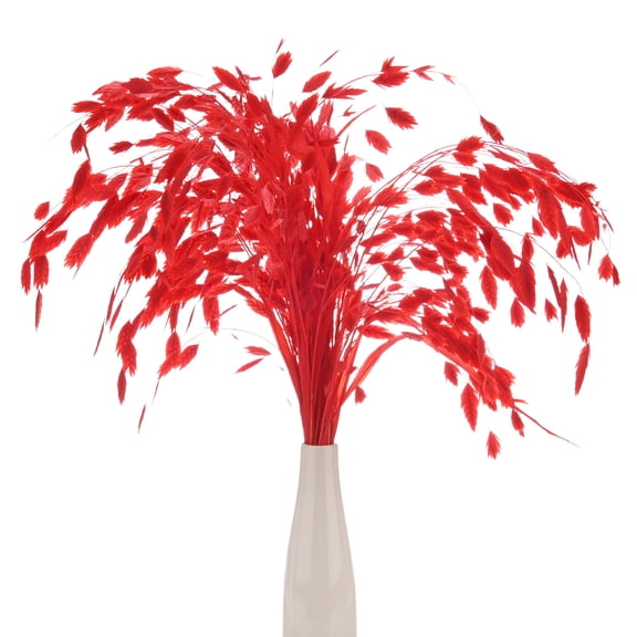 Uxcell 20-Pack Dried Grass Bundle 17 Inch Chasmanthium Dry Flower Bouquet Dried Oat Grass for Vase Filler Home Decor[Red]