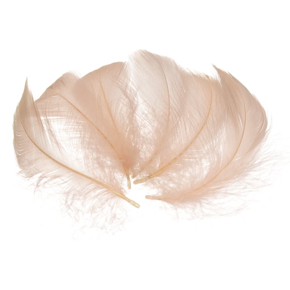 Uxcell 200 Pack Light Coffee Craft Feathers, 3-5 Inch Colored Feathers for Crafting, Fluffy Feather Bulk for DIY Crafts, Dream Catcher Supplies, Wedding Party Decoration