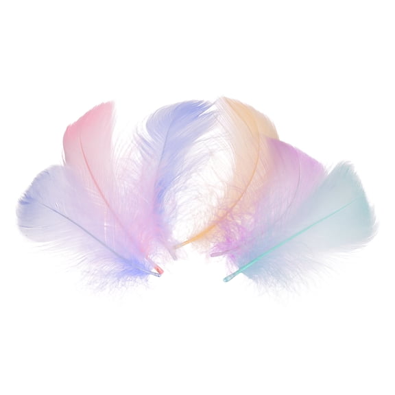Uxcell 200 Pack Pastel Colors Craft Feathers, 3-5 Inch Colored Feathers for Crafting, Fluffy Feather Bulk for DIY Crafts, Dream Catcher Supplies, Wedding Party Decoration