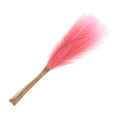 thumbnail image 1 of Uxcell 20Pcs Faux Pampas Grass 21.65" Fake Pampas Grass Decor Gradual Red, 1 of 7