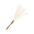 thumbnail image 1 of Uxcell 20Pcs Pampas Artificial Grass 21.65" Fake Pampas for Wedding Decoration Cream, 1 of 7