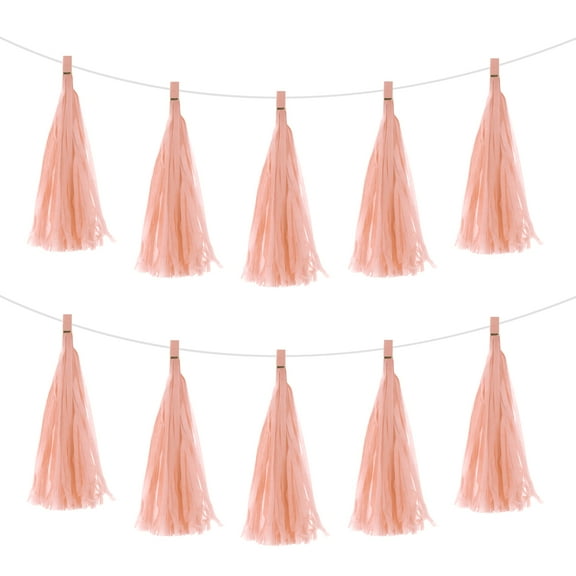 Uxcell 20Pcs Peach Pink Tassel Garland Banner w Rope for Wedding Birthday Party Decoration