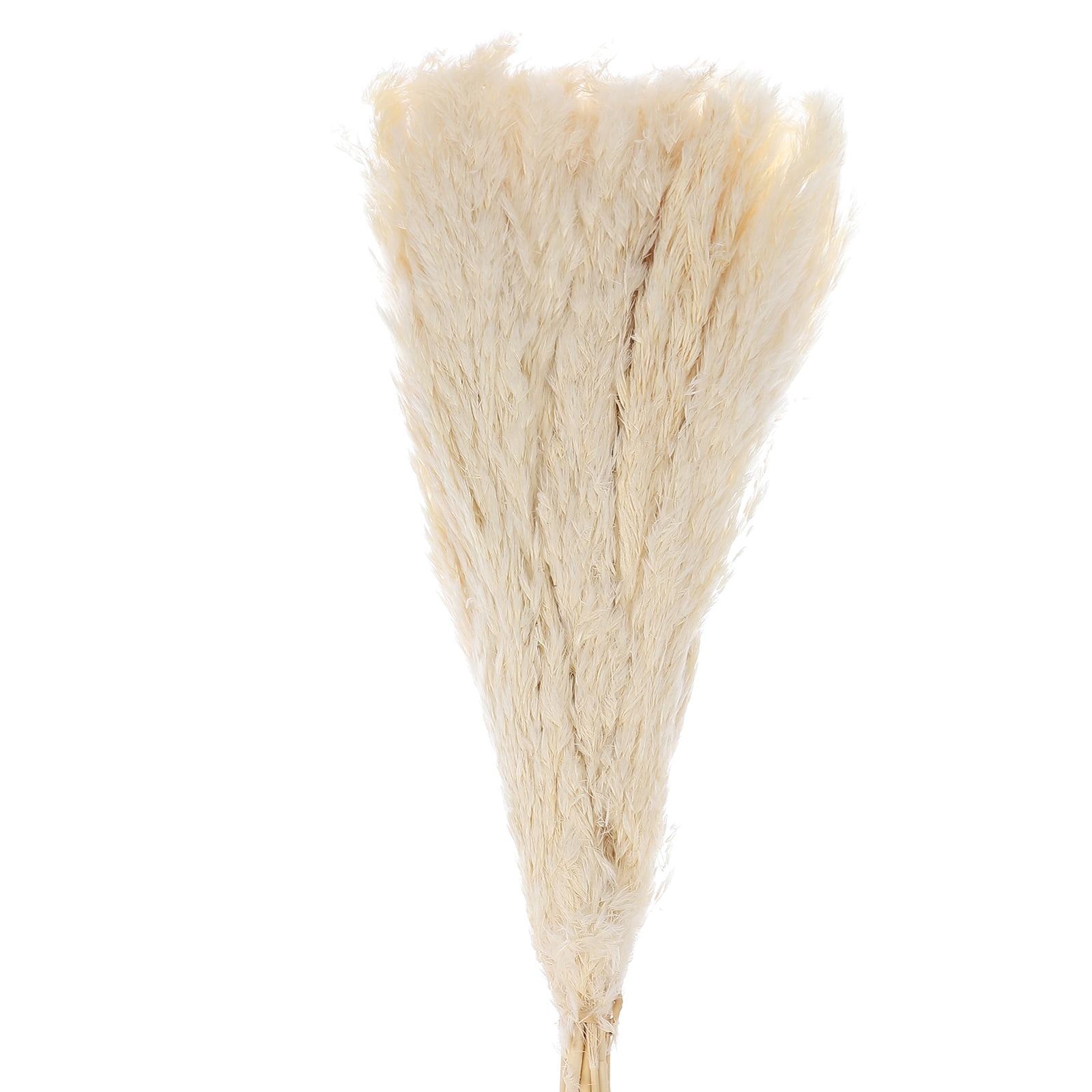 Uxcell 20pcs Natural Rabbit Bunny Tails Dried Flowers 17" Mini Pampas Grass Lagurus Ovatus Bunch for Floral Wedding Decor Christmas, White