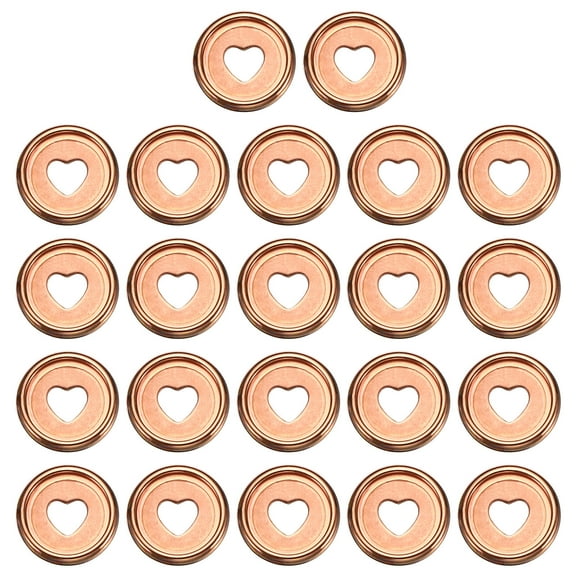 Uxcell 24mm Plastic Book Binding Discs Discbound Expansion Discs Plating Heart Binder Rings, Rose Gold 22 Pack