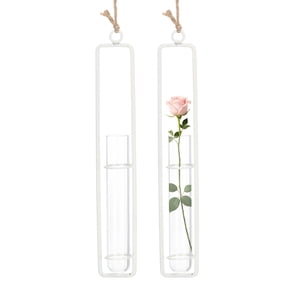 Uxcell 2Pcs Hanging Clear Glass Hydroponic Plant Propagation Tube Vase, Hydroponic Plant Propagation Station Terrarium Container for Home Balcony Wall Decoration (2.5cm x 15cm Tube, White)