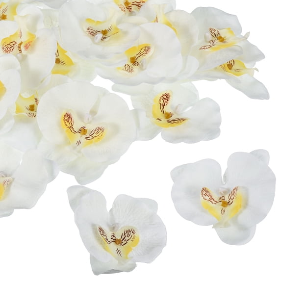 Uxcell 3.5" Artificial Silk Phalaenopsis Orchid Flower Heads for DIY Wedding Decor, White 20 Pack