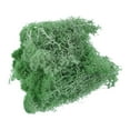thumbnail image 1 of Uxcell 3.5 OZ Moss Preserved Moss Artificial Moss for Craft Floral Project Table Decor,Emerald Green, 1 of 6