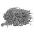 thumbnail image 1 of Uxcell 3.5 OZ Moss Preserved Moss Artificial Moss for Craft Floral Project Table Decor Light Grey, 1 of 6