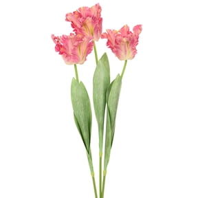Uxcell 3-Pack Pink Green Artificial Parrot Tulip Flowers,27 Inch Faux Parrot Tulip Flowers PU Bouquets Real Touch for Home/Wedding
