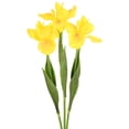 thumbnail image 1 of Uxcell 3-Pack Yellow Green Artificial Iris Flowers,18 Inch Faux Iris PU Bouquets Real Touch for Home/Wedding, 1 of 7