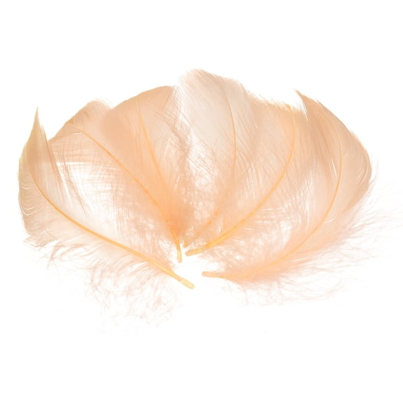 Uxcell 300 Pack Champagne Craft Feathers, 2-4 Inch Colored Feathers for Crafting, Fluffy Feather Bulk for DIY Crafts, Dream Catcher Supplies, Wedding Party Decoration