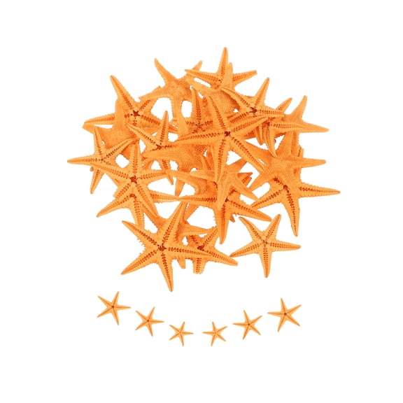 Uxcell 30Pcs Starfish for Craft, 0.4"-0.8" Small Natural Starfish Sea Star Crafting Seashells Bulk for Wedding Beach Theme Party Decorations Home Vase DIY Crafts Decor, Orange