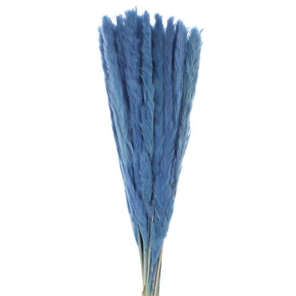 Uxcell 30pcs Natural Rabbit Bunny Tails Dried Flowers 16"-17" Mini Pampas Grass Lagurus Ovatus Bunch for Floral Wedding Decor Christmas, Blue