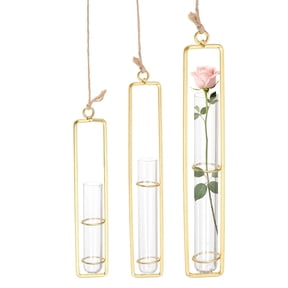 Uxcell 3Pcs Hanging Clear Glass Hydroponic Plant Propagation Tube Vase, Hydroponic Plant Propagation Station Terrarium Container for Home Balcony Wall Decoration (2.5cm x 12.5/15/20cm Tube, Gold)