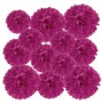 thumbnail image 1 of Uxcell 3.94"/5.91"/7.87" Tissue Pom Poms Flower Paper Flower Ball for Wedding Bridal Shower Birthday Party Backdrop Decoration 12Pcs Dark Fuchsia, 1 of 7