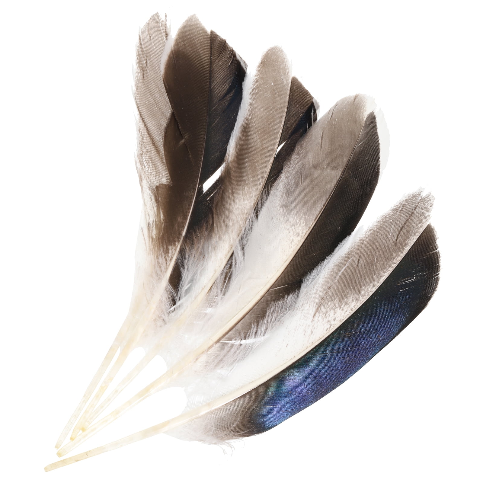 Uxcell 4-6 Inch Natural Feathers, 150 Pack Bulk Feathers for